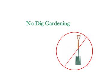 No Dig Gardening