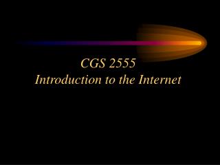 CGS 2555 Introduction to the Internet