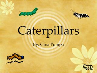 Caterpillars