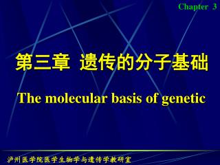 第三章 遗传的分子基础