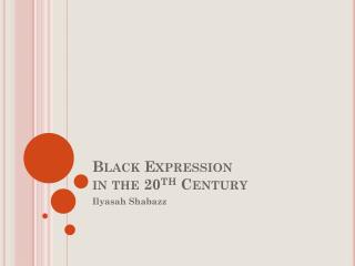 Black Expression in the 20 th Century