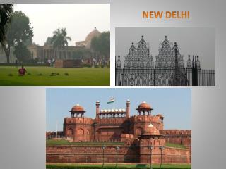 NEW DELHI