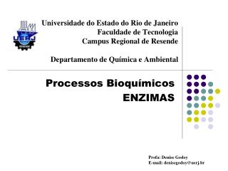 Processos Bioquímicos ENZIMAS