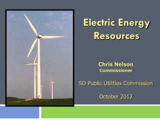 Electric Energy Resources