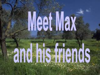 Meet Max and his friends
