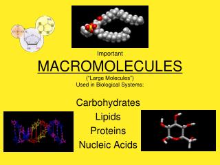 Important MACROMOLECULES (“Large Molecules”) Used in Biological Systems:
