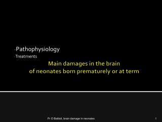 Main damages in the brain of neonates born prematurely or at term