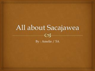All about Sacajawea
