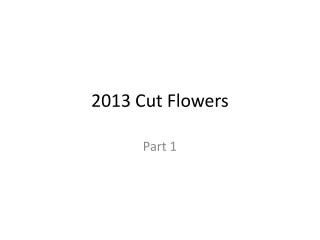 2013 Cut Flowers