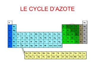 LE CYCLE D’AZOTE