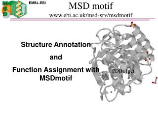 MSD motif ebi.ac.uk/msd-srv/msdmotif