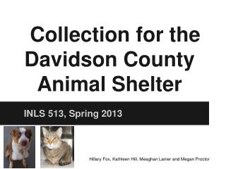 Collection for the Davidson County Animal Shelter