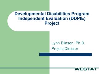 Developmental Disabilities Program Independent Evaluation (DDPIE) Project