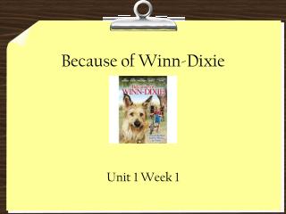 Because of Winn-Dixie