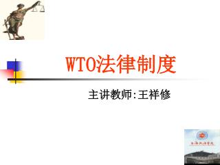 WTO 法律制度