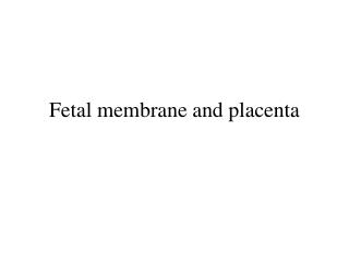 Fetal membrane and placenta