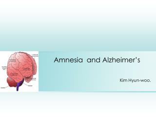 Amnesia and Alzheimer’s