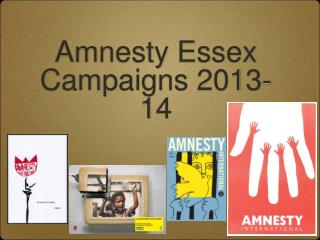 Amnesty Essex Campaigns 2013-14