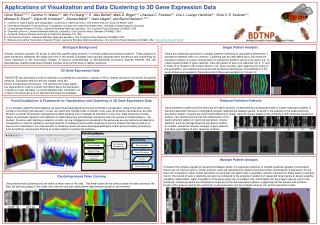 Applications of Visualization and Data Clustering to 3D Gene Expression Data