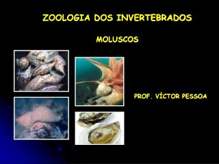 ZOOLOGIA DOS INVERTEBRADOS