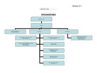 ORGANIGRAMA