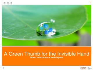 A Green Thumb for the Invisible Hand Green Infrastructure and Beyond