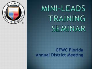 MINI-LEADS training seminar
