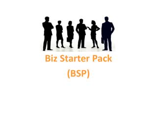 Biz Starter Pack (BSP)