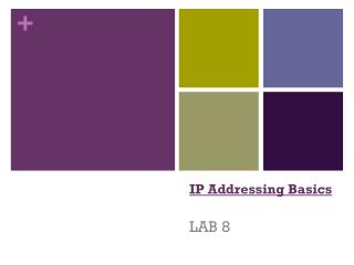 IP Addressing Basics