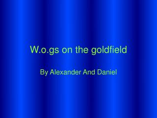 W.o.gs on the goldfield
