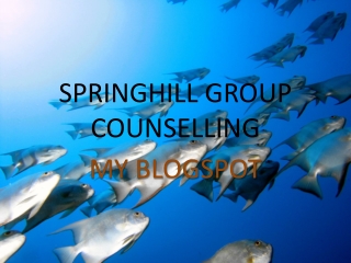 SPRINGHILL GROUP COUNSELLING - My Blogspot