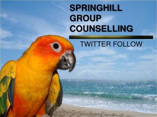 SPRINGHILL GROUP COUNSELLING - Twitter Account