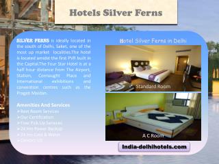 Services of Silver Ferns Hotel in Delhi