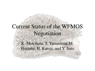 Current Status of the WFMOS Negotiation