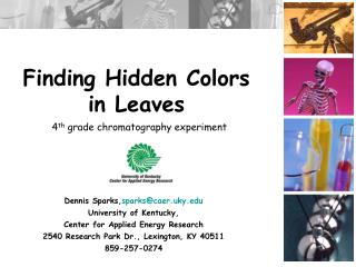 Finding Hidden Colors in Leaves