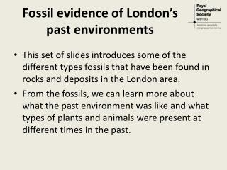 Fossil evidence of London’s past environments