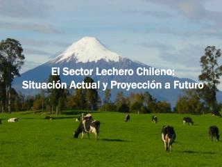 El Sector Lechero Chileno: Situación Actual y Proyección a Futuro