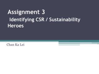 Assignment 3 Identifying CSR / Sustainability Heroes
