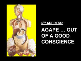 5 TH ADDRESS: AGAPE … OUT OF A GOOD CONSCIENCE