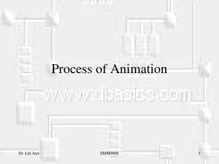 Process of Animation