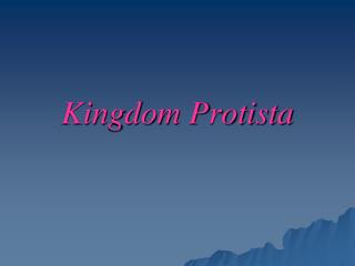 Kingdom Protista