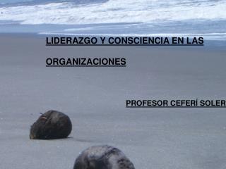 LIDERAZGO Y CONSCIENCIA EN LAS ORGANIZACIONES