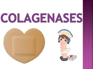 Colagenases