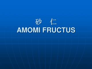 砂 仁 AMOMI FRUCTUS