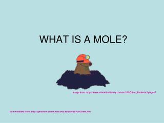 WHAT IS A MOLE?