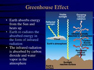 Greenhouse Effect