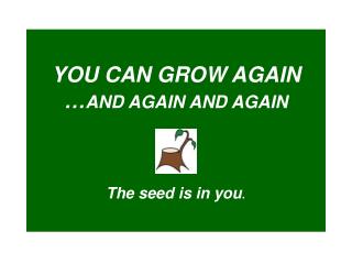 YOU CAN GROW AGAIN … AND AGAIN AND AGAIN The seed is in you .