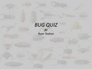 BUG QUIZ BY Ryan Teahan