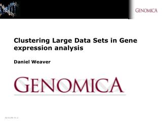 Clustering Large Data Sets in Gene expression analysis Daniel Weaver