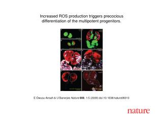 E Owusu-Ansah &amp; U Banerjee Nature 000 , 1 - 5 (2009) doi:10.1038/nature08 313